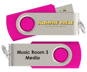 Music Room 3 AV USB